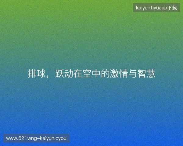 排球,跃动在空中的激情与智慧 排球,跃动在空中的激情与智慧
